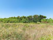 Solar en venta en calle Montsant, Sant Esteve...