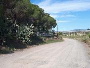 Terreno en venta en carretera Partida Guardamá o Emprius...