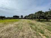 Terreno en venta en calle Partida Guardamar, Cambrils,...