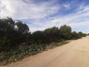 Terreno en venta en calle Perdiu, Vendrell, El, de 8.268...