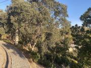 Terreno en venta en calle Pi, Riudarenes, de 160 m² por...