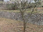 Terreno en venta en calle Sant Joan Baptista, Piera, de...