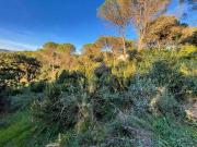Terreno en venta en calle De Sant Pere del Bosc, Blanes,...