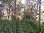 Terreno en venta en calle Saturno, Cunit, de 1.123 m²...