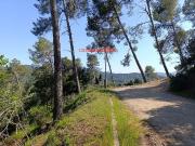 Terreno en venta en calle Tossa, Molins de Rei, de 216...