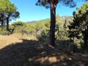 Terreno en venta en calle Versalles, Lloret de Mar, de...