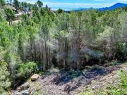 Terreno en Venta en Callosa d'en Sarrià