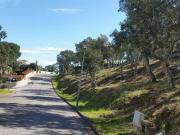 Terreno en Venta en Calonge