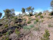 Terreno en Venta en Calonge