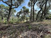 Terreno en venta en calle Miquel Martí i Pol, Calonge,...