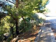 terreno en Venta en Calpe. FTBS T3453