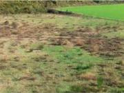 Terreno en Venta en Campdevànol