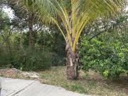 TERRENO EN VENTA EN CAMPECHE: FRACC. EL DORAL