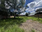 Terreno en venta en Campestre