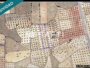 Terreno en Venta en Campo de Criptana
