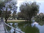 Terreno En VENTA EN CAMPO GOLF EL ENCINO QUERETARO