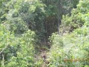 Terreno en Venta en Cancun