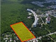 Terreno en Venta en Canc?n 18,282 mts entre el Arco...