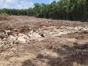 TERRENO EN VENTA EN CANCUN TERRENO EN VENTA EN CANCUN