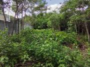 TERRENO EN VENTA EN CANCUN A 2 CUADRAS DE GRAN SANTAFE PLIS