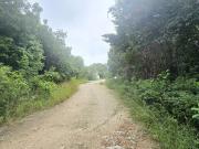 Terreno en Venta en Canc?n en Alamos II