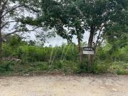 Terreno en Venta en Cancun en ?lamos