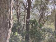 Terreno en venta en Canyelles, California