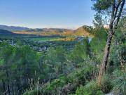 Terreno en Venta en Capdepera