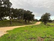 Terreno en venta en carretera Vella, Capmany, de 6.178...