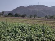 Terreno en venta en Carabayllo a $682,000