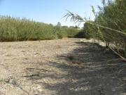 Terreno en Venta en Caravaca de La Cruz