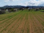 Terreno en Venta en Caravaca de La Cruz
