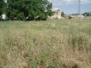 Terreno en Venta en Caravaca de La Cruz