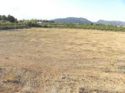 Terreno en Venta en Caravaca de La Cruz