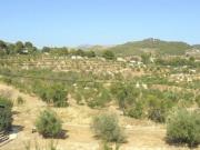 Terreno en venta en Caravaca de la Cruz, Caravaca de la cruz