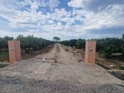 Terreno en Venta en Carcaixent