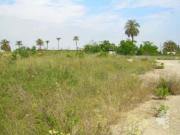 Terreno en venta en Carcaixent, Carcaixent