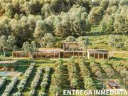Terreno en venta en Cardo Santo Avandaro Valle de bravo