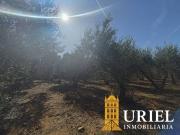 Terreno en Venta en Carmona