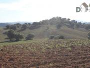 Terreno en Venta en Sevilla