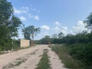 TERRENO EN VENTA EN CARRETERA CANCUN MERIDA JUNTO A...