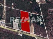 Terreno en venta en Carretera Chablekal a Conkal, Yucatán 4