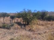 Terreno en Venta en Carretera Durango Parral