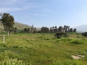 TERRENO EN VENTA EN CARRETERA LIBRE TIJUANA TECATE !