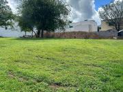 TERRENO EN VENTA EN CARRETERA NACIONAL, EL VERGEL MONTERREY