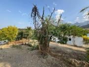 TERRENO EN VENTA EN CARRETERA NACIONAL, MONTERREY...