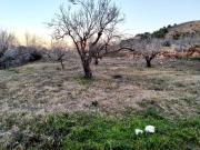 Terreno en Venta en Cartagena