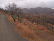 Terreno en Venta en Cártama