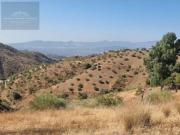 Terreno en venta en Cártama