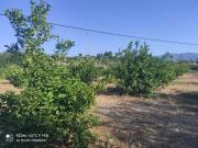 Terreno en Venta en Cártama